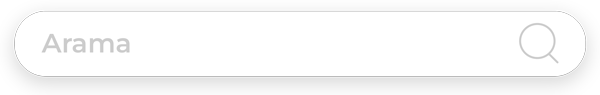 urun arama sayfasi